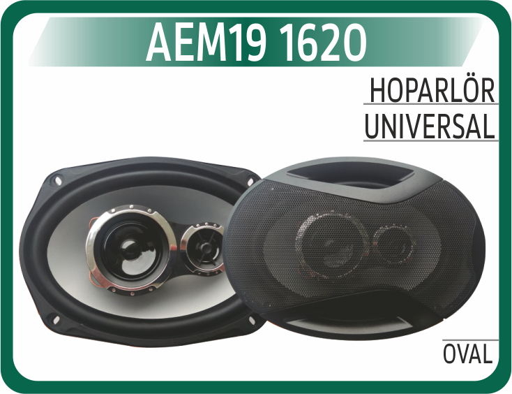 AEM19 1620 HOPARLÖR OVAL