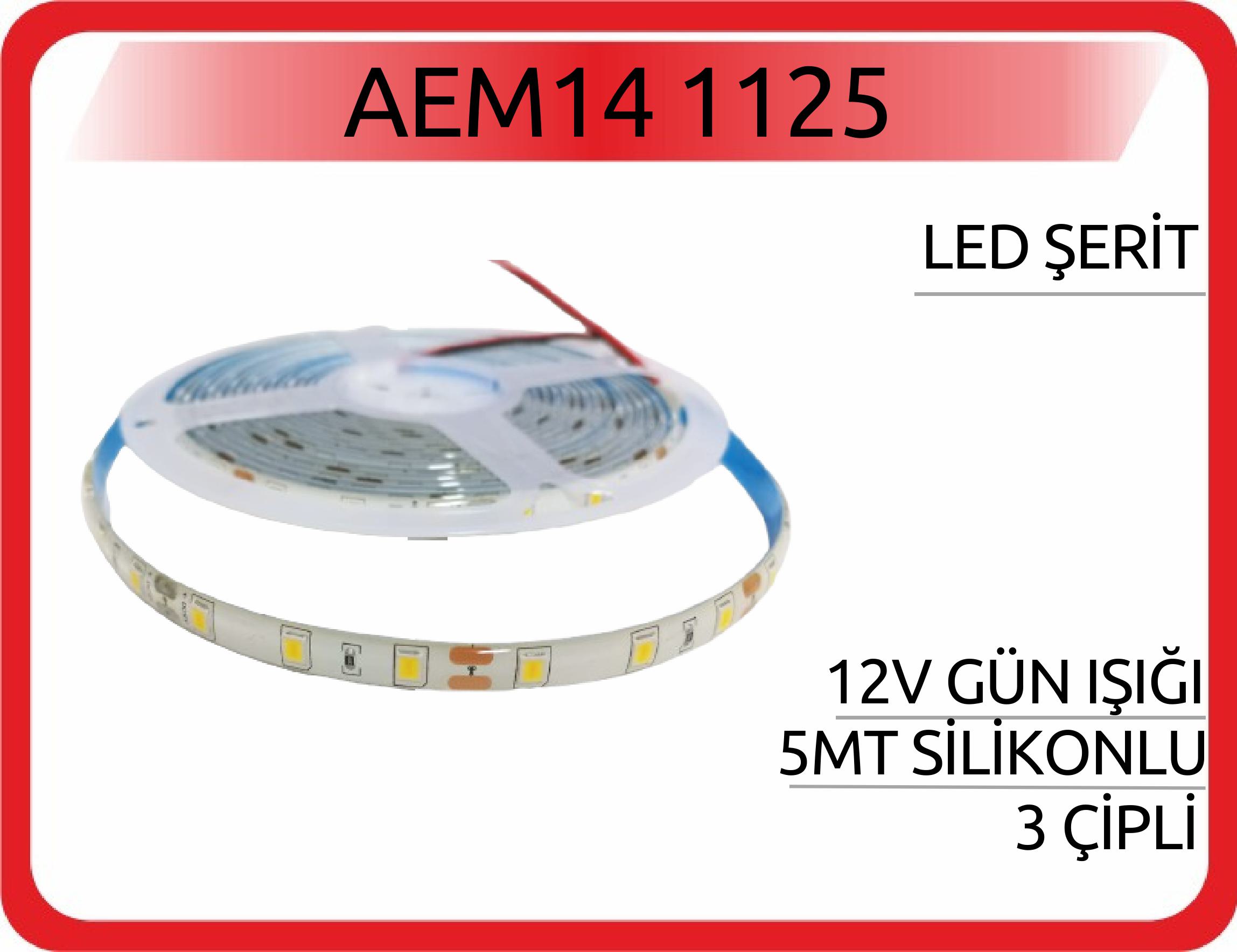 AEM14 1125 LED ŞERİT 12V GÜN IŞIĞI 5 MT SİLİKONLU 3 ÇİPLİ