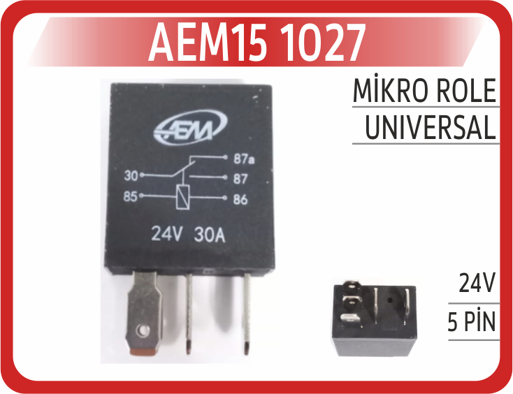 AEM15 1027 MİKRO ROLE 24V 5PİN