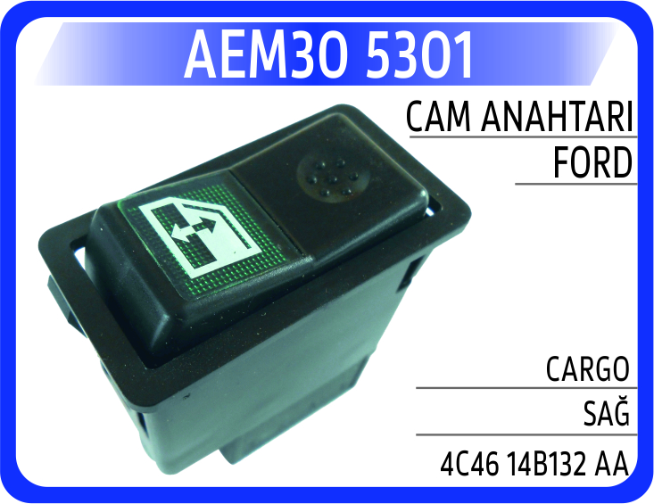 AEM30 5301 CAM ANAHTARI FORD CARGO SAĞ